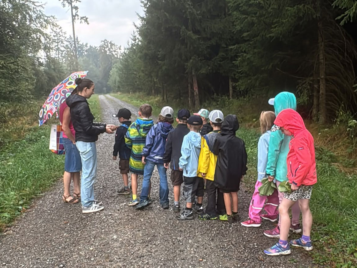 Sommerferienprogramm